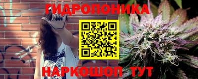 винт Можга