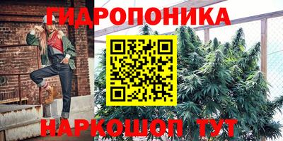 винт Можга