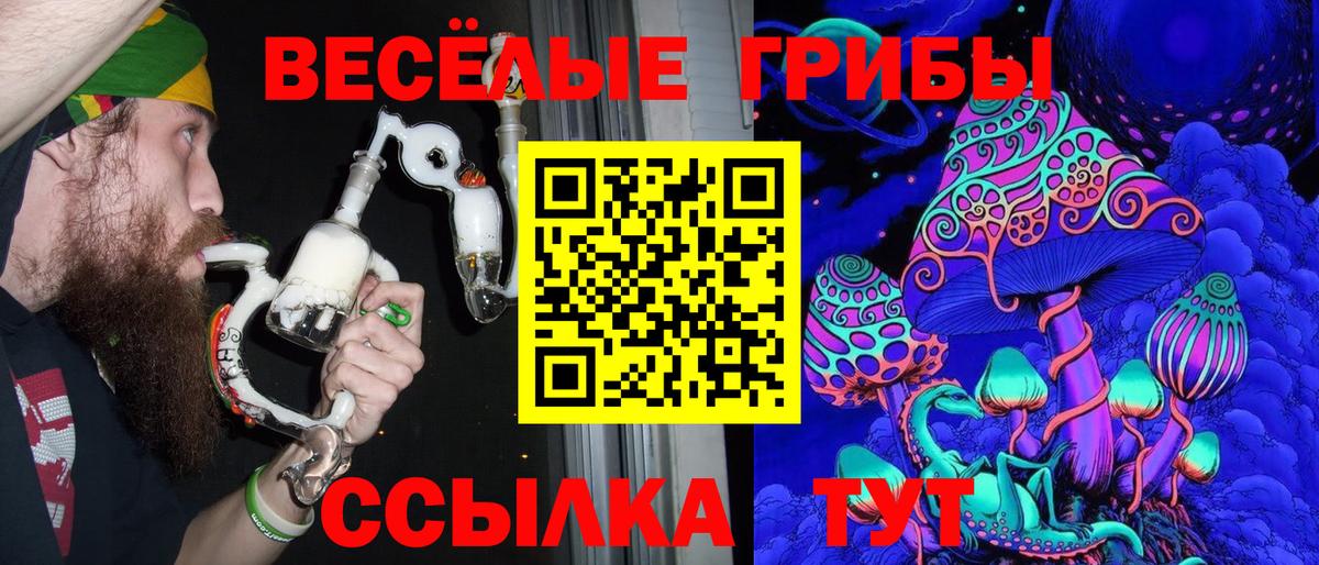 Галлюциногенные грибы прущие грибы  Вход с VPN  Чехов  Галлюциногенные грибы Magic Shrooms 