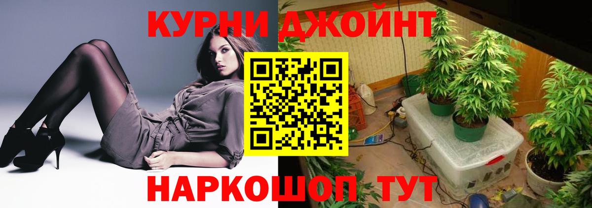 Чехов  Шишки марихуана White Widow  Конопля конопля  Бошки Шишки планчик  Каннабис план  Вход с VPN 